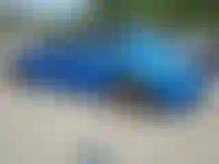 IMPORTOWO.pl