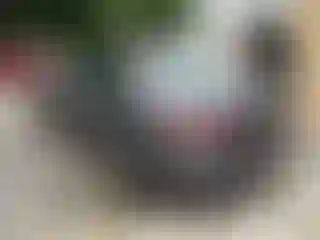IMPORTOWO.pl