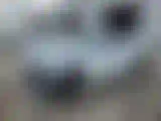 Vehicle Image- 2019 Alfa romeo Giulia