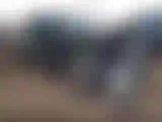 Vehicle Image- 2020 Alfa romeo Giulia