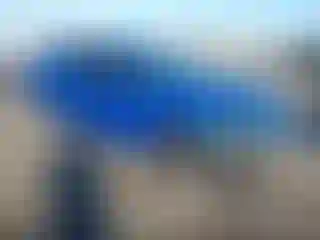 Vehicle Image- 2019 Alfa romeo Giulia