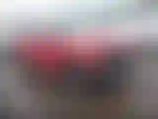 Vehicle Image- 2018 Alfa romeo Stelvio