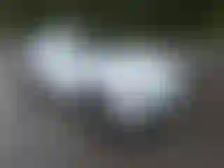 Vehicle Image- 2019 Alfa romeo Stelvio