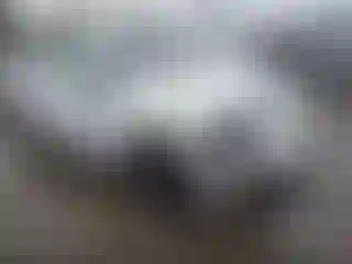 Vehicle Image- 2019 Alfa romeo Stelvio