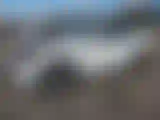 Vehicle Image- 2023 Alfa romeo Stelvio