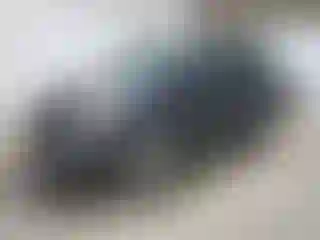 Vehicle Image- 2015 Fiat 500