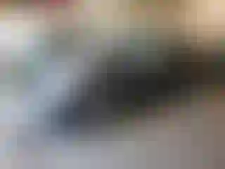 Vehicle Image- 2014 Fiat 500