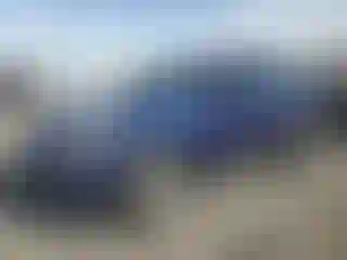 Vehicle Image- 2016 Fiat 500
