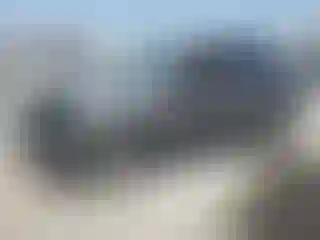 Vehicle Image- 2017 Fiat 500